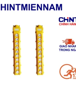 nut nhan cau truc 10 nut chint